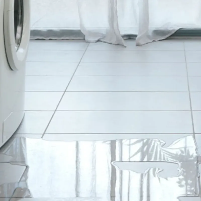 Appliance Leak Cleanup in Knox County, MO