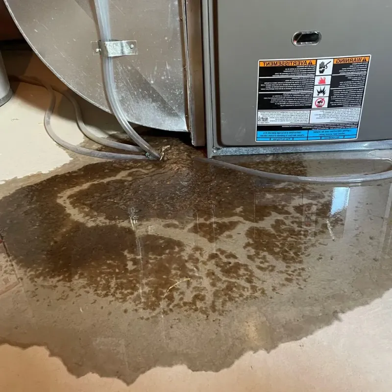 Pipe Burst and Leak Restoration in Knox County, MO