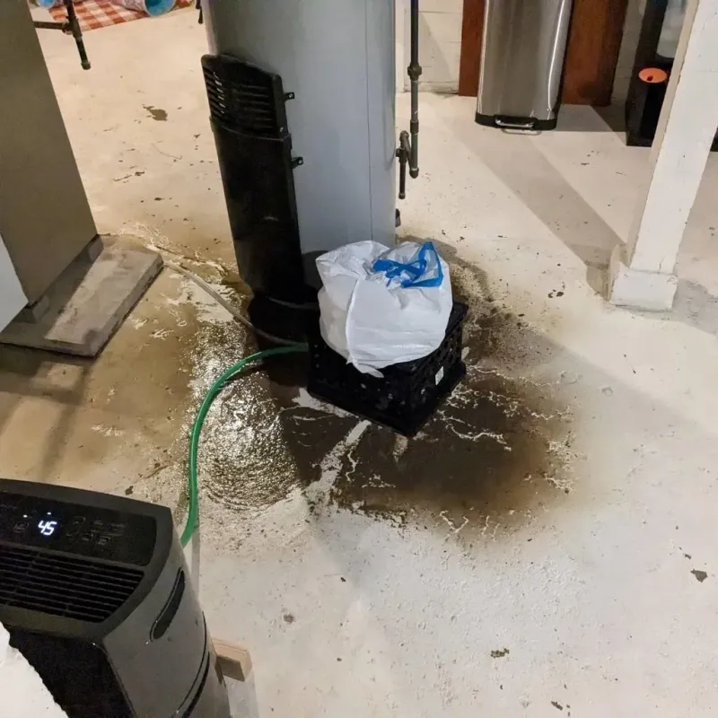 Sewage Backup Cleanup Service in Knox County, MO